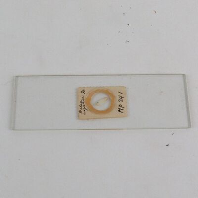 Voorwerpen adlib\10000\V14997-a.jpg; V14997; ;